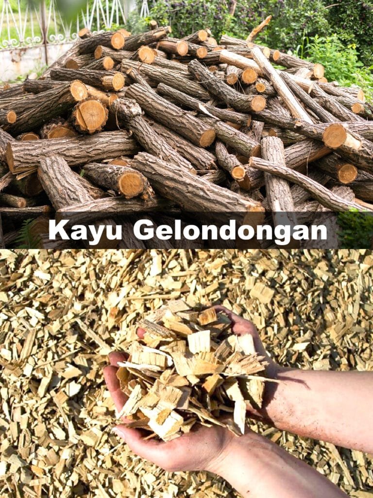 Kayu Gelondongan