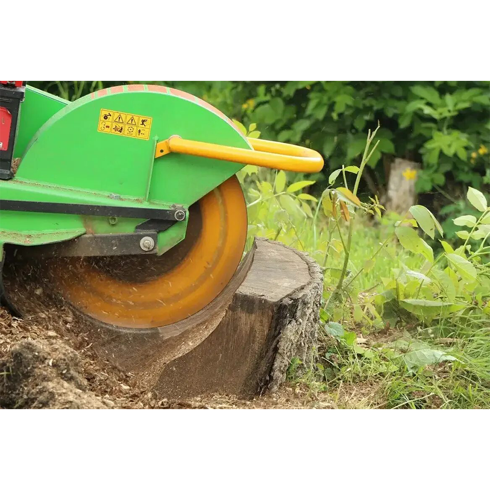  —  Forestry Contractor